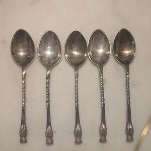 Elegant Silver Teaspoon Set